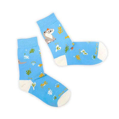 袜子 · Socks